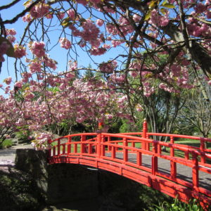 Oamaru-Public-Gardens-bridge
